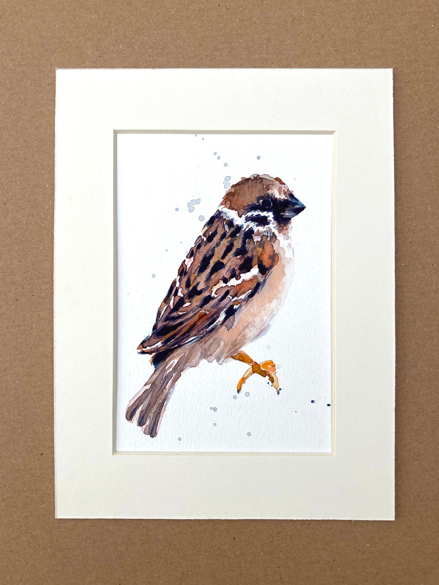 February05 Sparrow