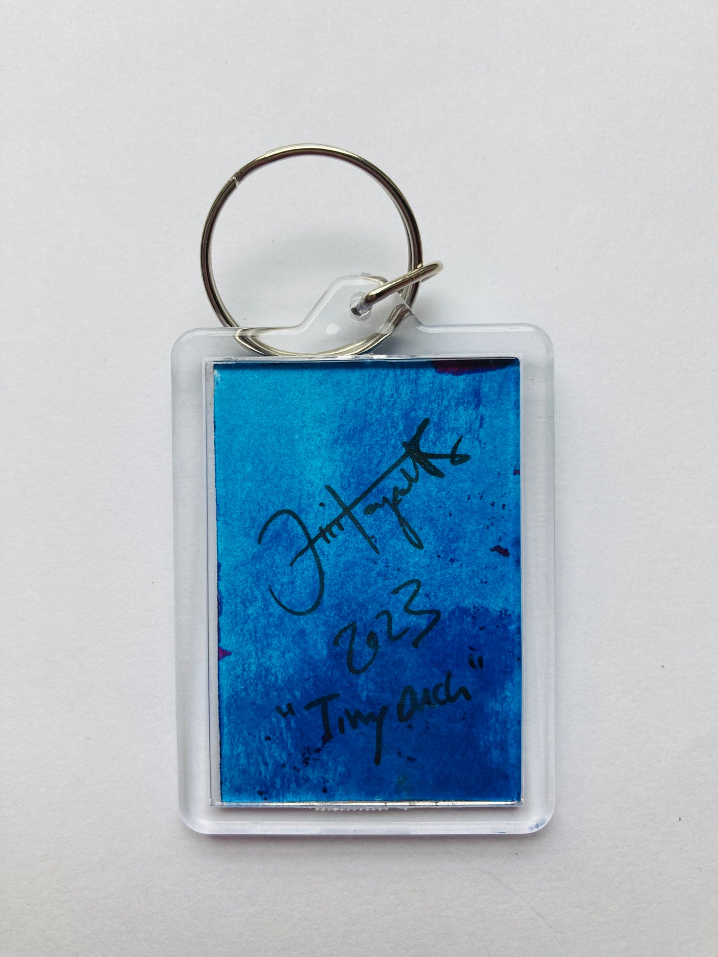 Tiny Goose Hand painted Key ring