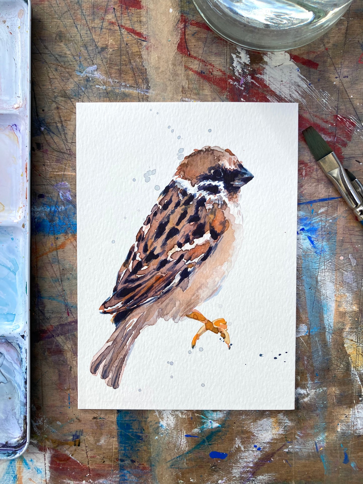 February05 Sparrow