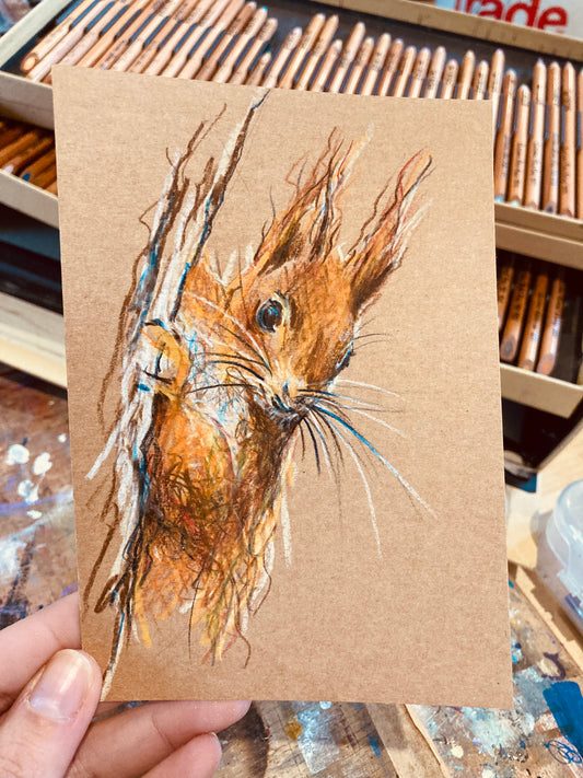 Drawing of Red Squirrel head