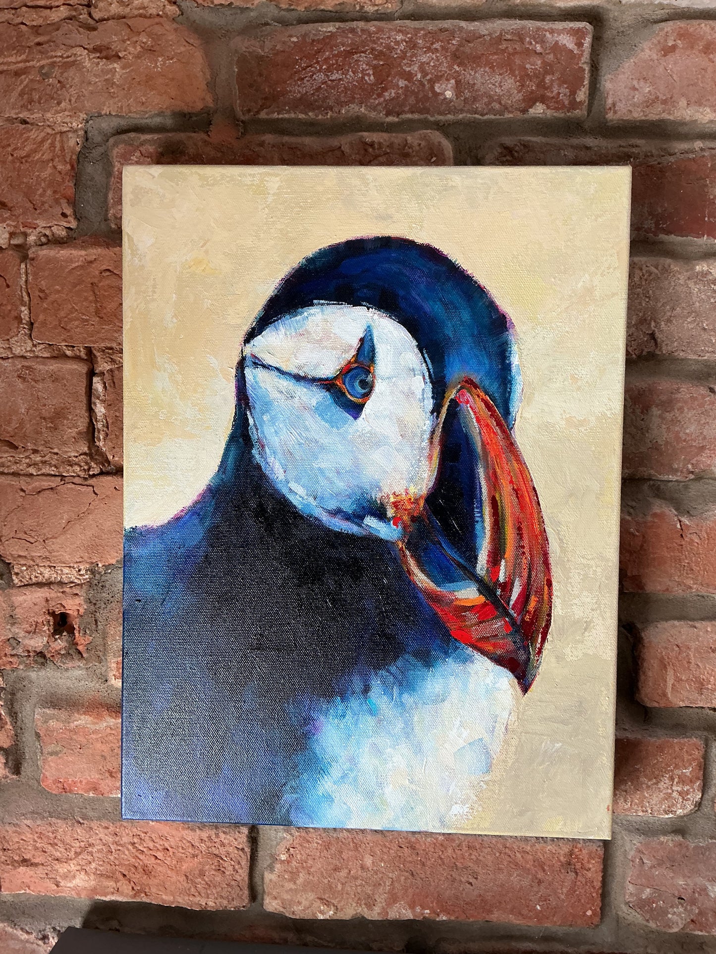 Puffin-Atlantic