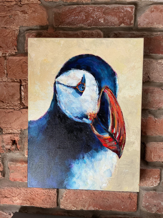 Puffin-Atlantic