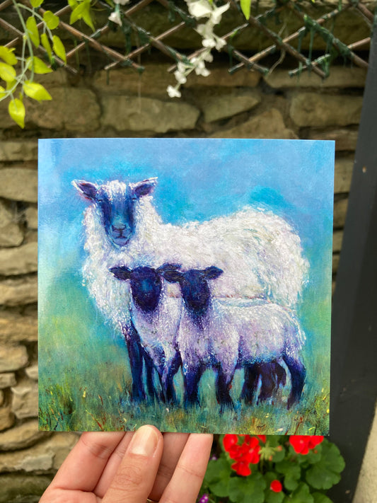 Mother sheep with two lambs square greeting card