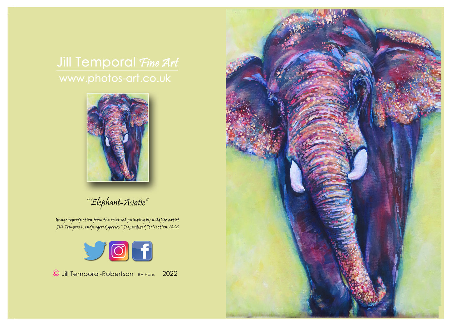 A6 Elephant Card