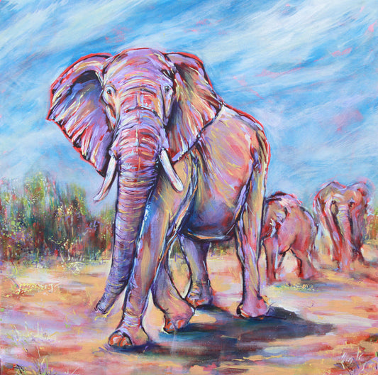 ELEPHANT matriarch