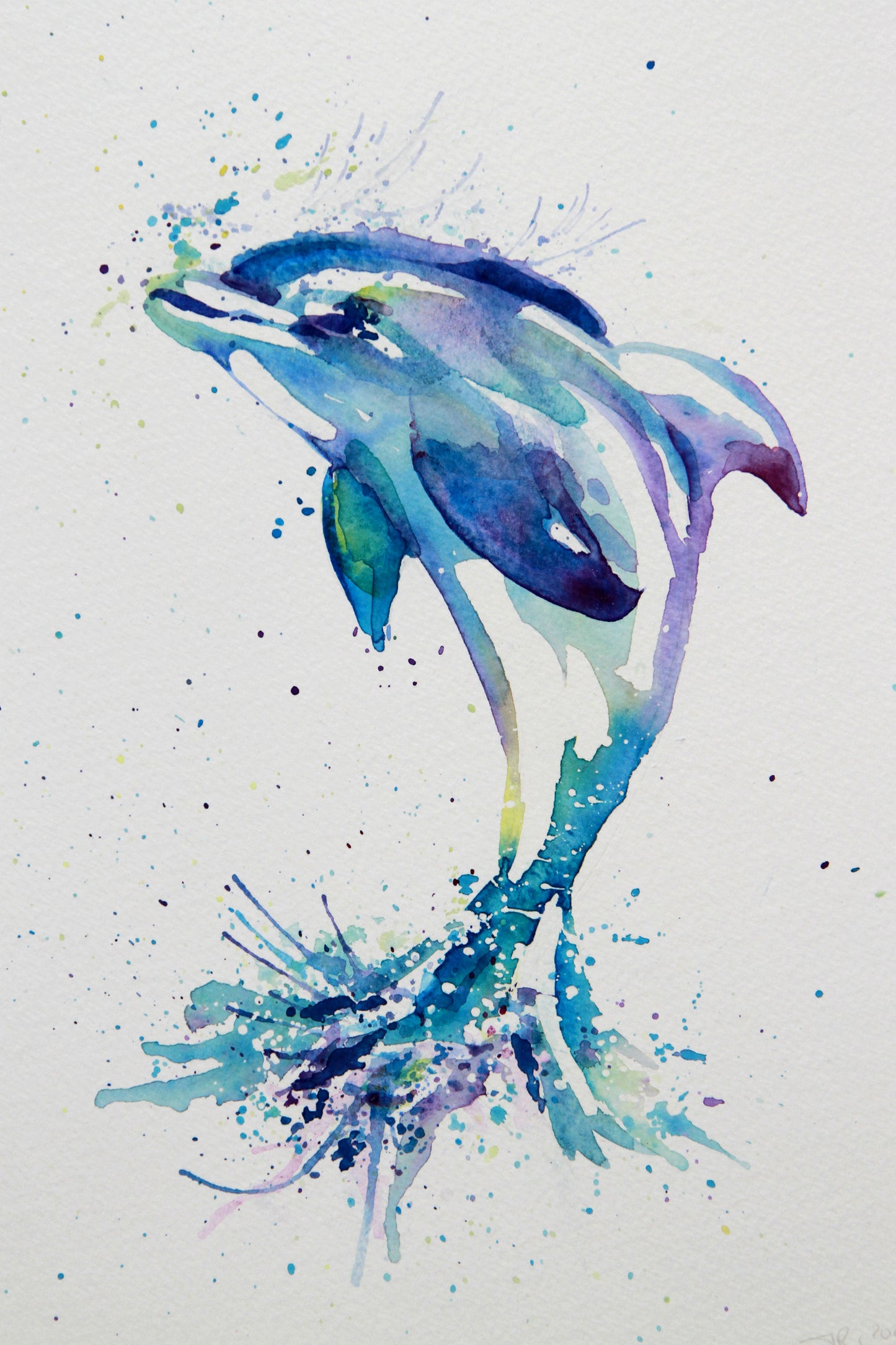 Dolphin (Number Two) Watercolour