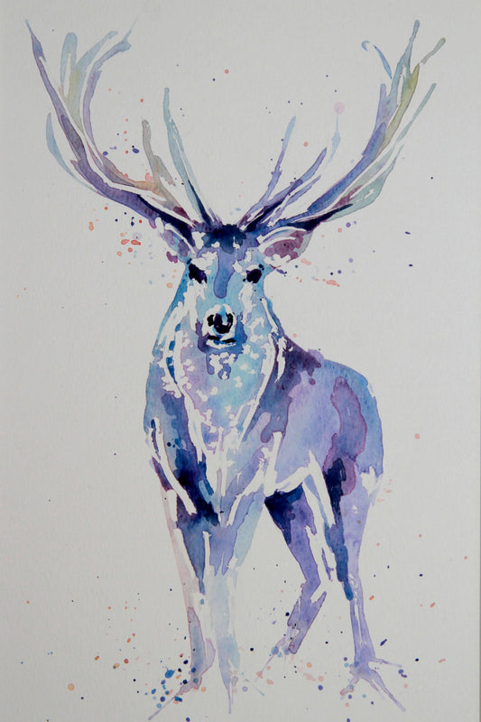 STAG watercolour #2