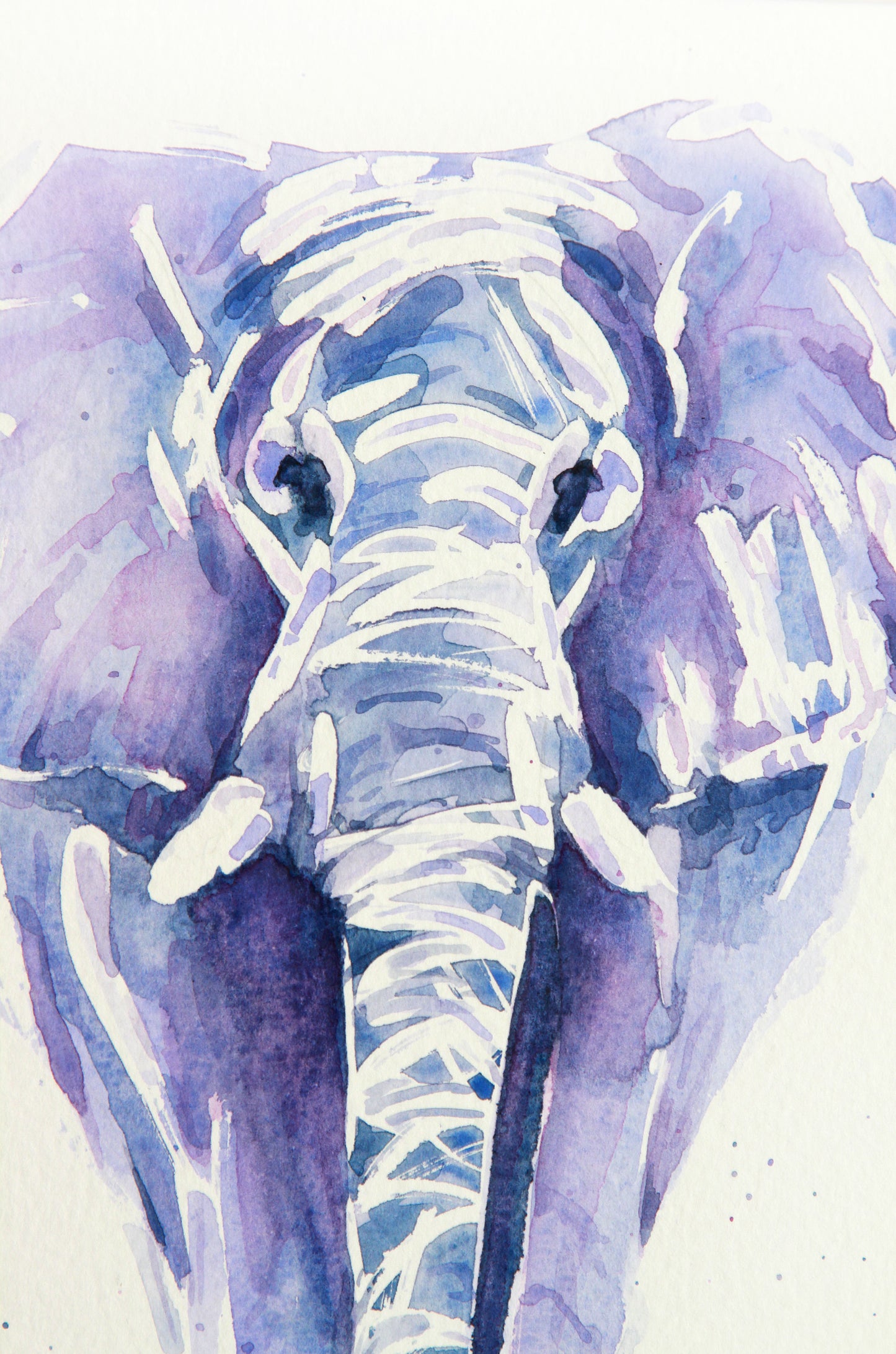 ELEPHANT #8 Watercolour painting