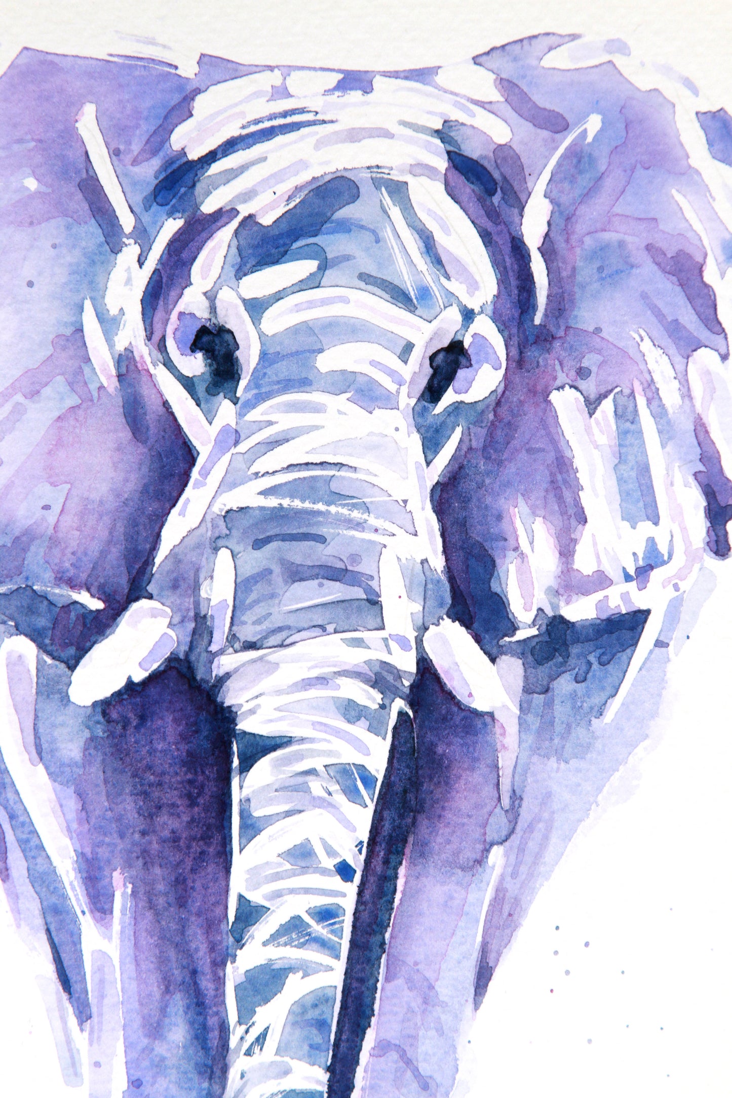 ELEPHANT #8 Watercolour painting