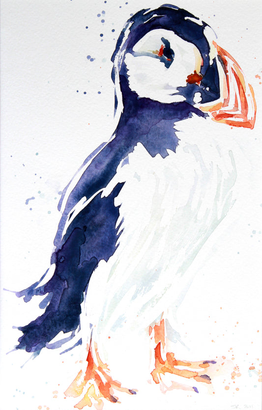 PUFFIN #6 Large watercolour painting