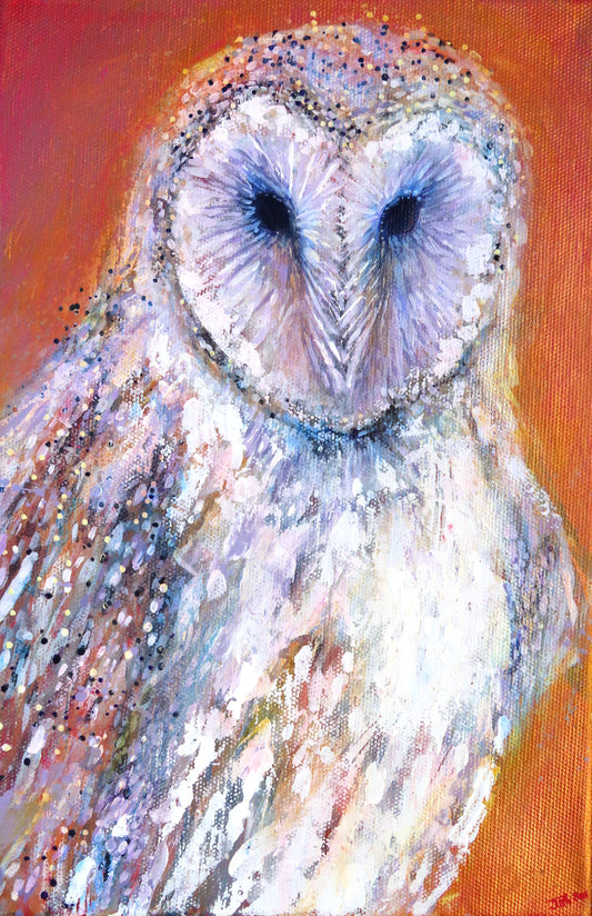 Owl - Barn
