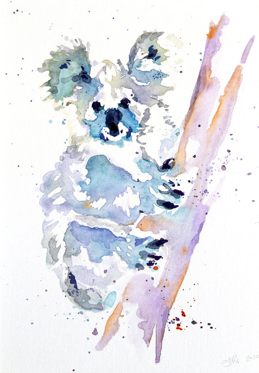 KOALA original watercolour painting