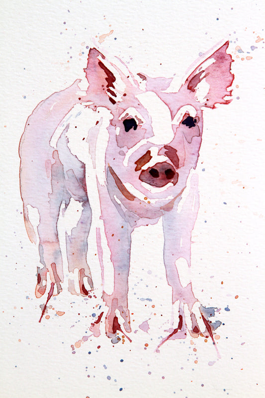 PIGGY watercolour Painting
