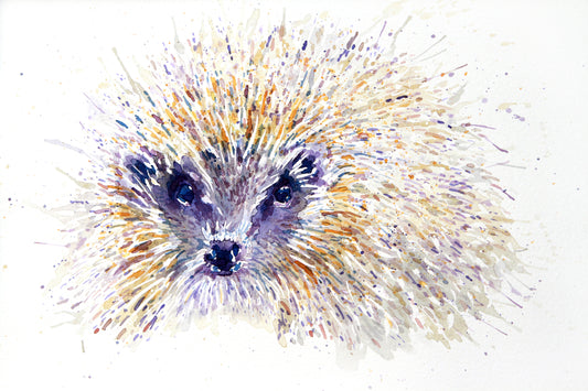 HEDGEHOG #Four Watercolour
