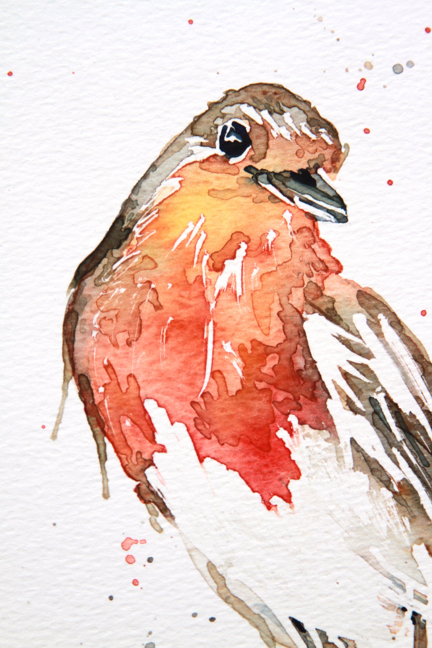 LITTLE Mr ROBIN #6 original Watercolour painting