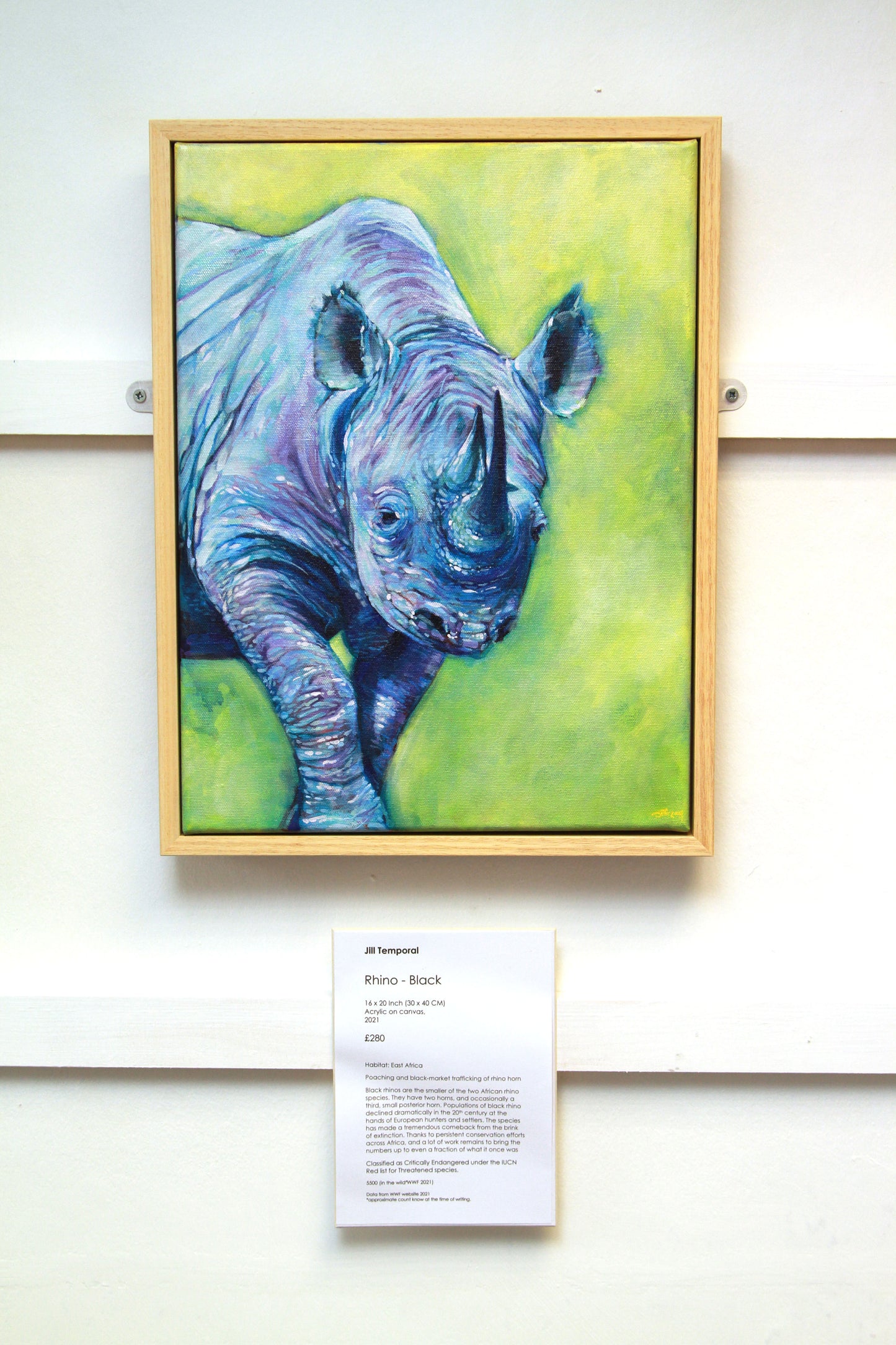 Rhino - Black