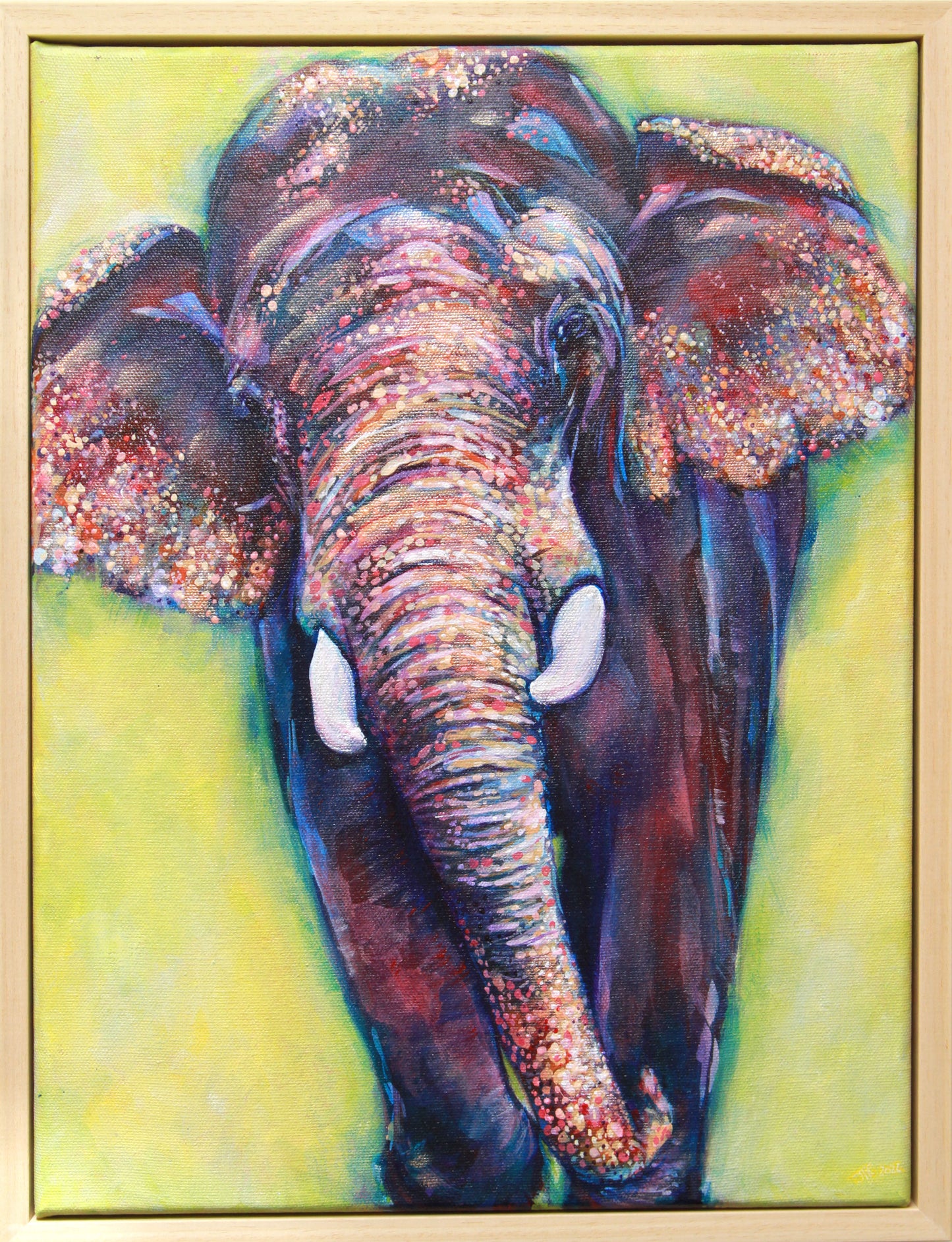 Elephant - Asiatic