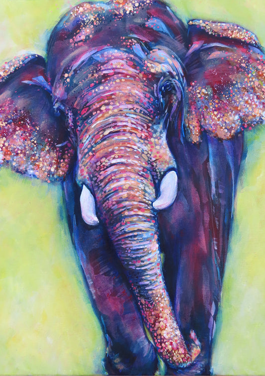 Elephant - Asiatic