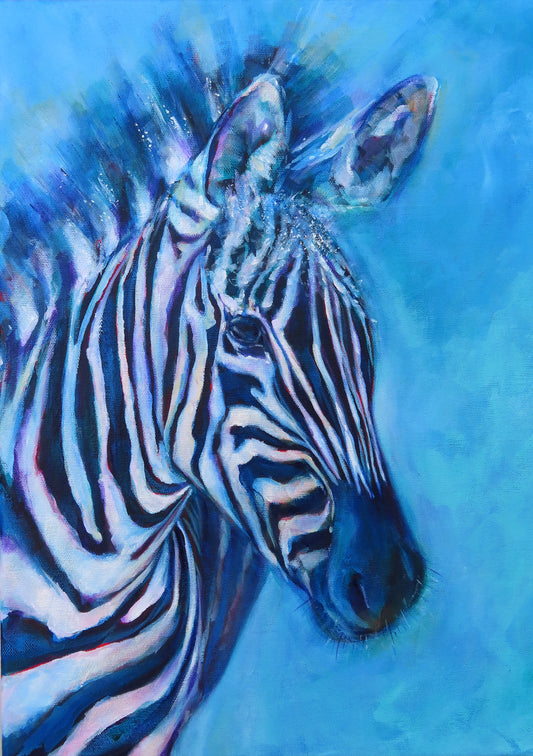 Zebra - Grevy's