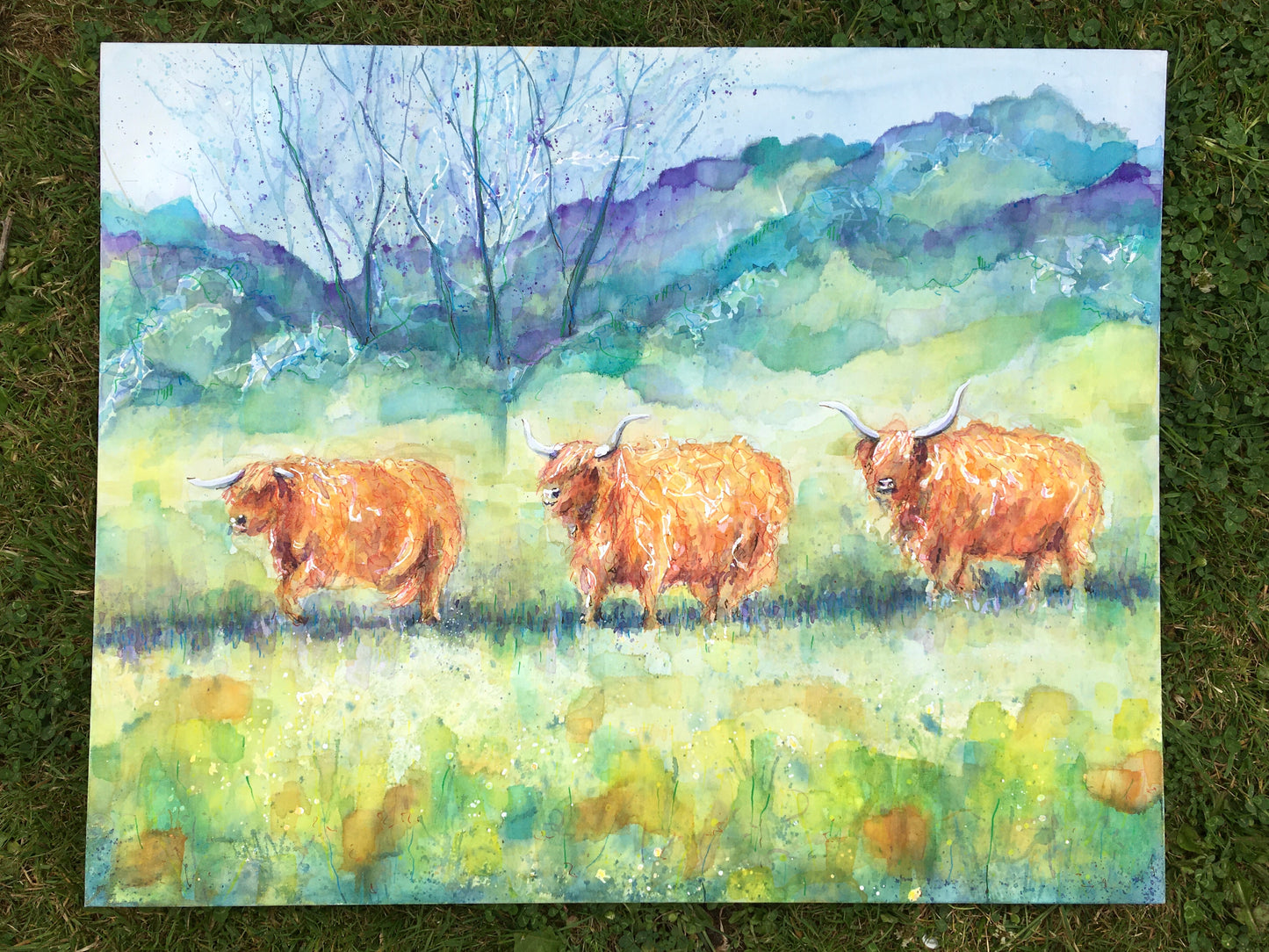Three Cows went to moo a Meadow