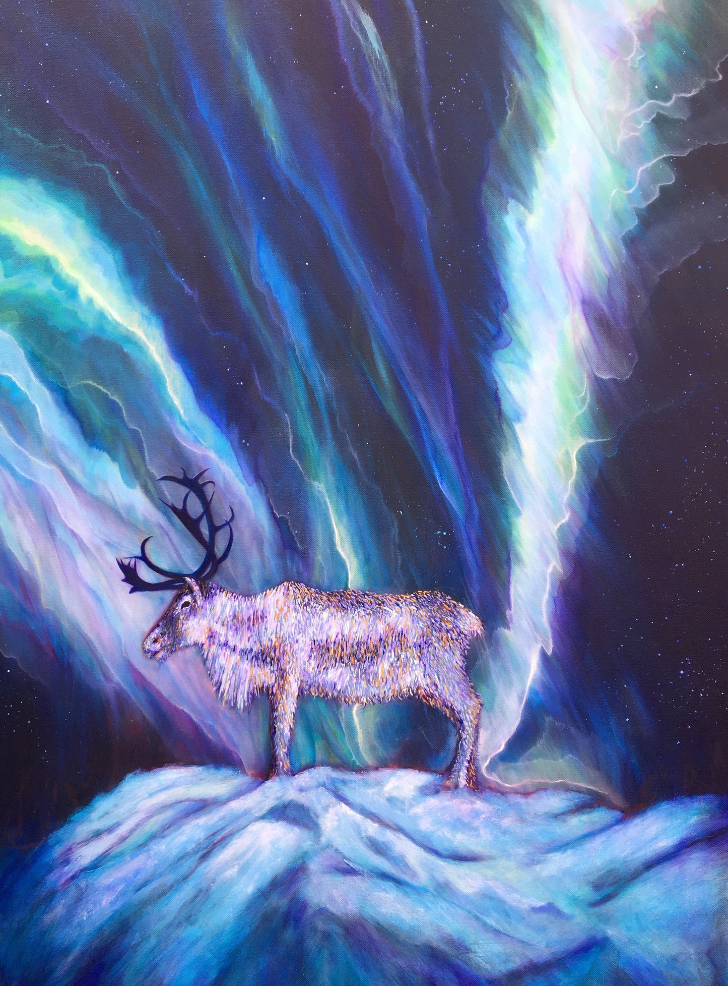 Aurora Borealis Caribou