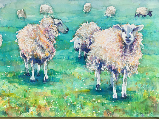 All Sheep’s and sizes