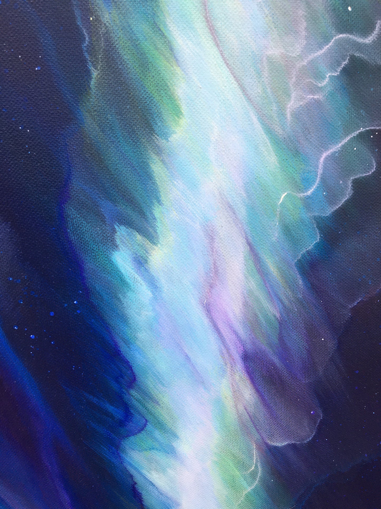 Aurora Borealis Caribou